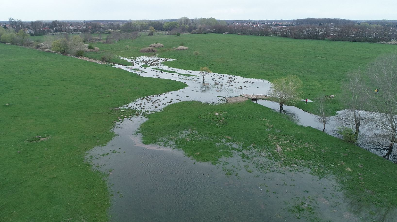 Időszakos árasztás a Tócóból a Szordasi úti legelőn 2025 áprilisában