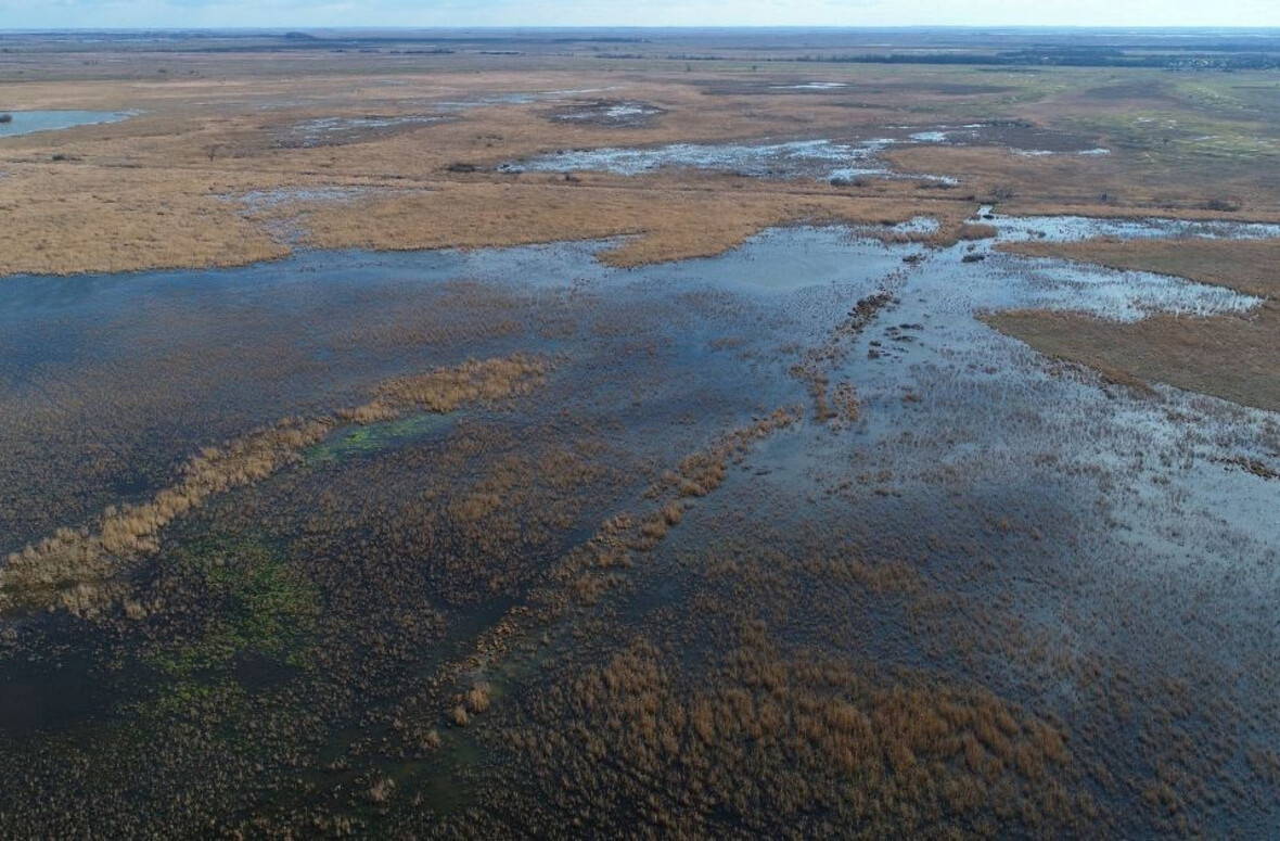 fekete rét ajánló