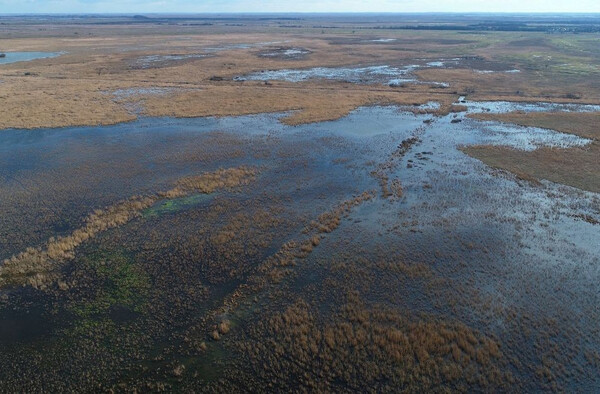 fekete rét ajánló