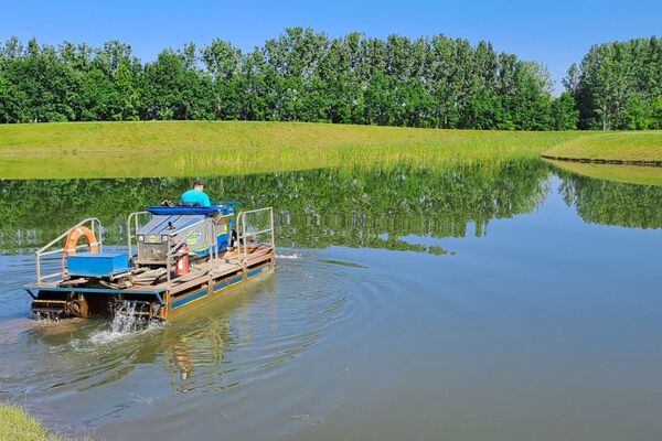 Vezér úti tározó növényzet eltávolítás